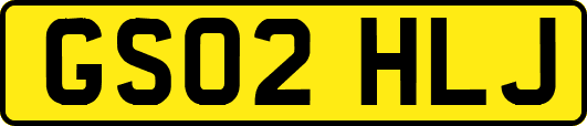 GS02HLJ