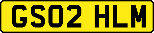 GS02HLM