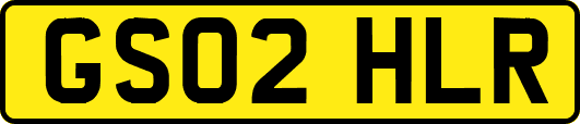 GS02HLR