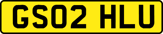 GS02HLU