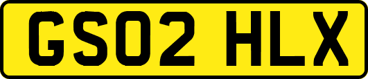 GS02HLX