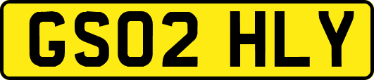 GS02HLY
