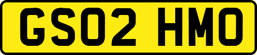 GS02HMO