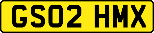 GS02HMX