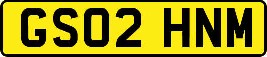 GS02HNM