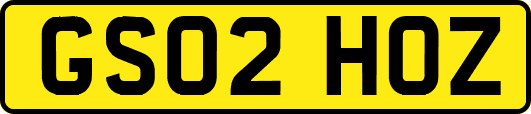 GS02HOZ