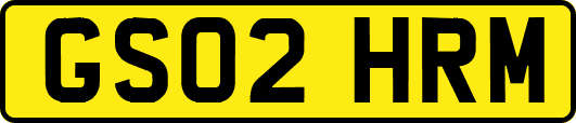 GS02HRM