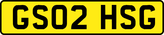 GS02HSG