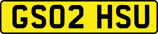 GS02HSU