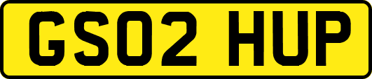 GS02HUP