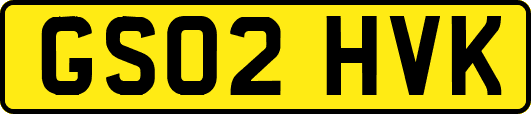 GS02HVK