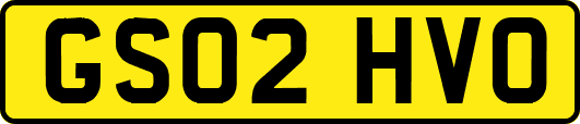 GS02HVO