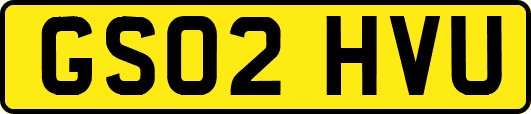 GS02HVU