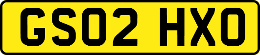 GS02HXO