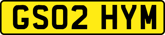 GS02HYM