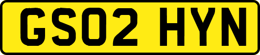 GS02HYN