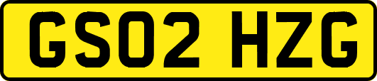 GS02HZG