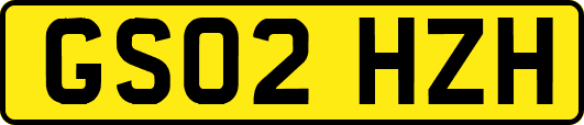 GS02HZH