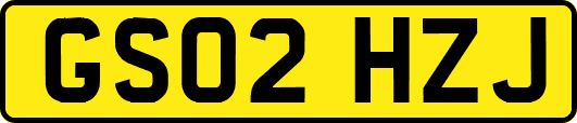 GS02HZJ