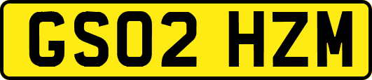 GS02HZM