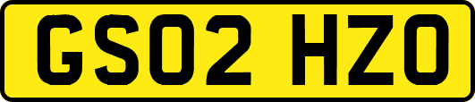 GS02HZO