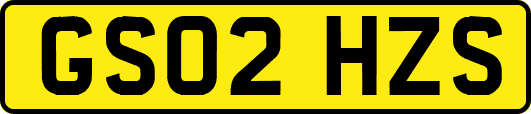 GS02HZS
