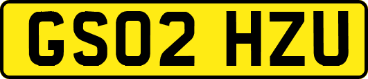 GS02HZU