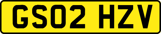 GS02HZV