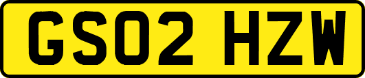 GS02HZW