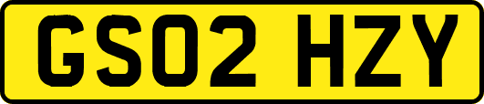 GS02HZY