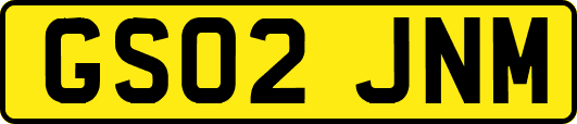 GS02JNM