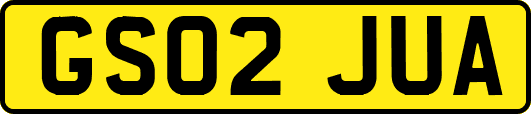GS02JUA