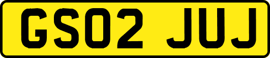 GS02JUJ