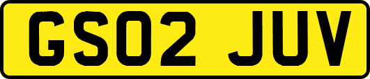GS02JUV