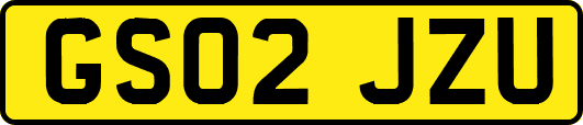 GS02JZU