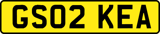 GS02KEA