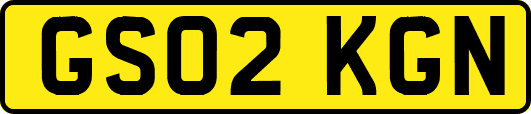GS02KGN