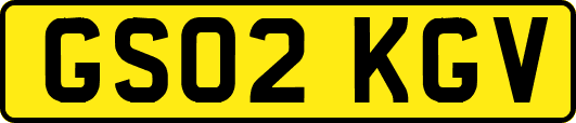 GS02KGV
