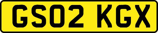 GS02KGX