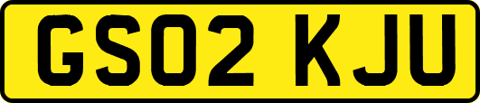 GS02KJU