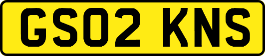 GS02KNS