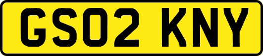GS02KNY
