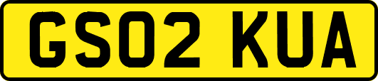 GS02KUA