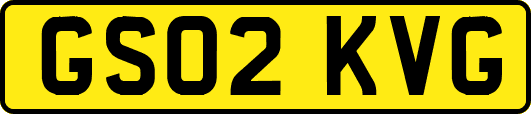 GS02KVG