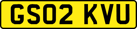 GS02KVU