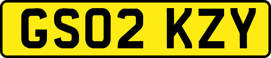 GS02KZY