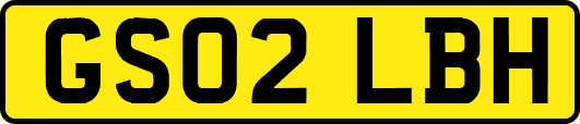 GS02LBH
