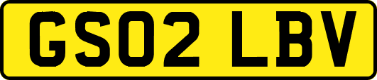 GS02LBV