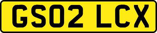 GS02LCX