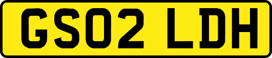 GS02LDH